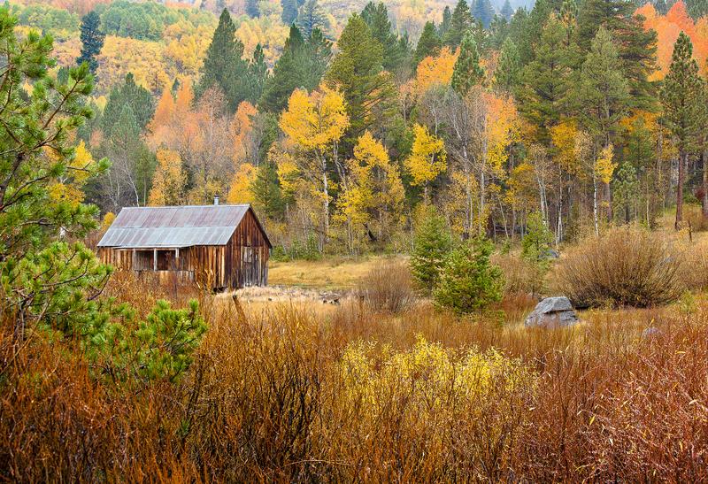 Rustic Cabin Hope Valley
